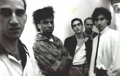 whitenoise.jpg (19057 bytes)